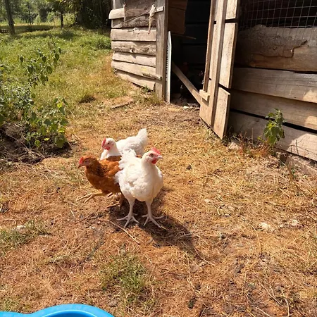 度假居 A La Ferme *